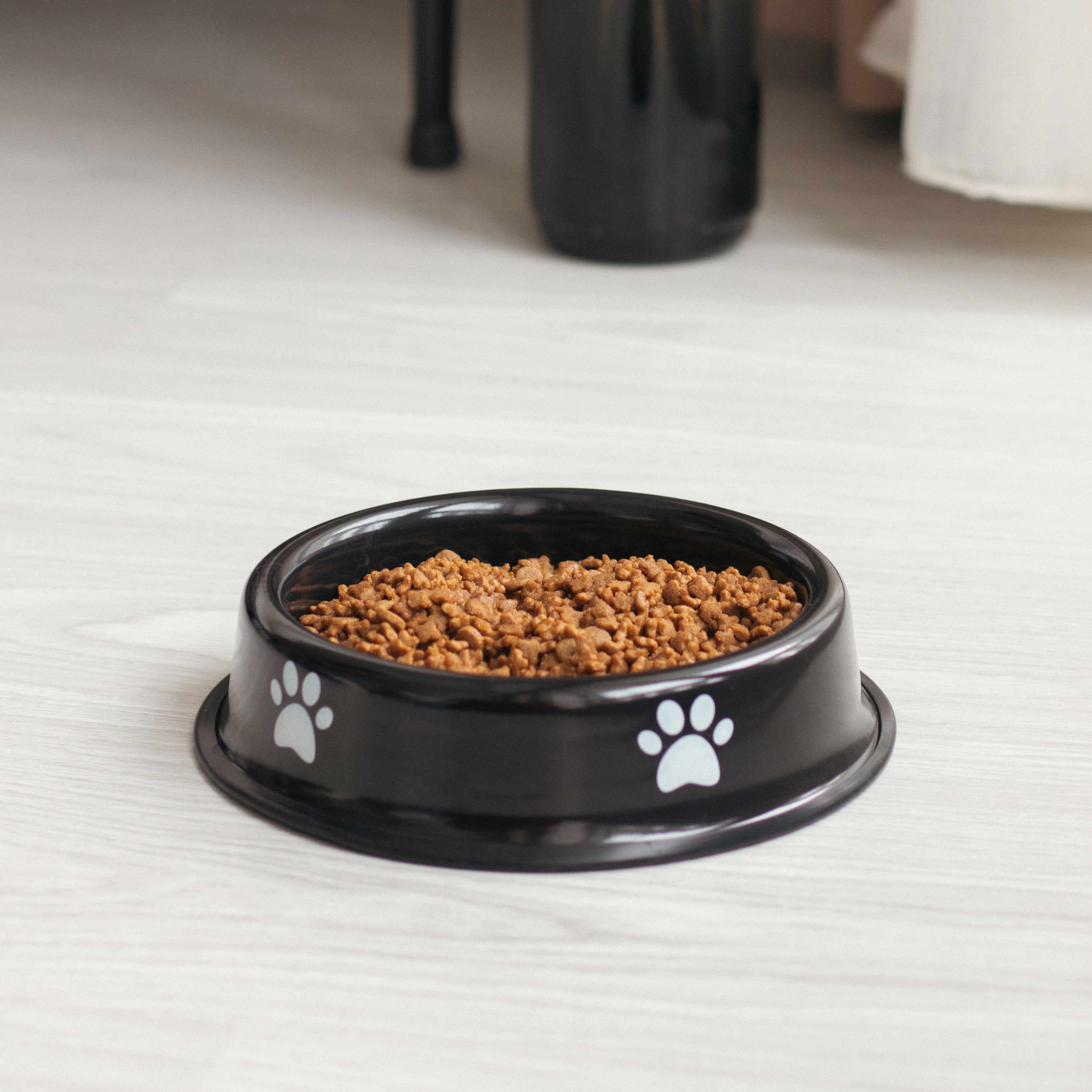 Emaylab Kedi/Köpek Emaye Mama Kabı Pati Desen - Night
