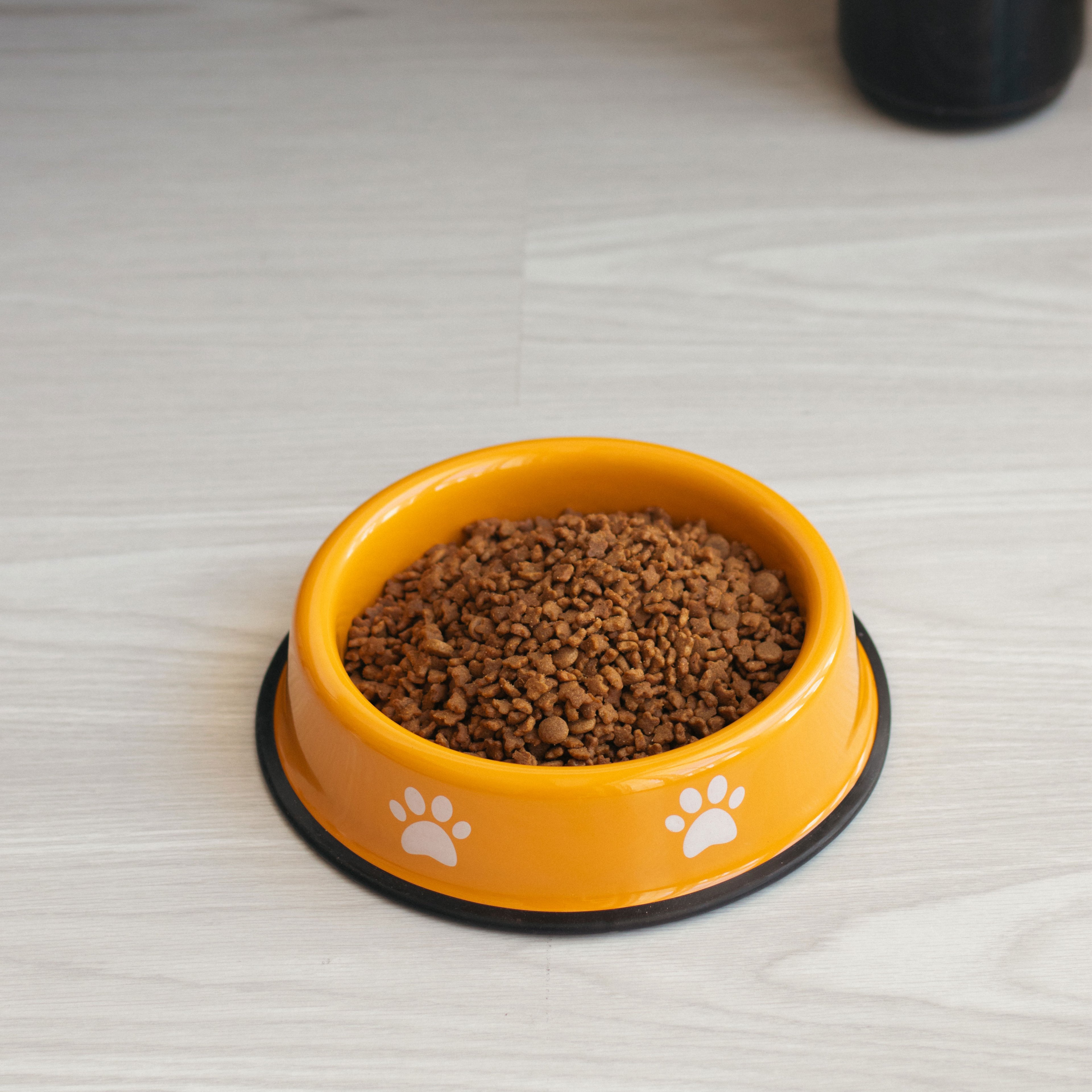 Emaylab Kedi/Köpek Emaye Mama Kabı Pati Desen - Mustard