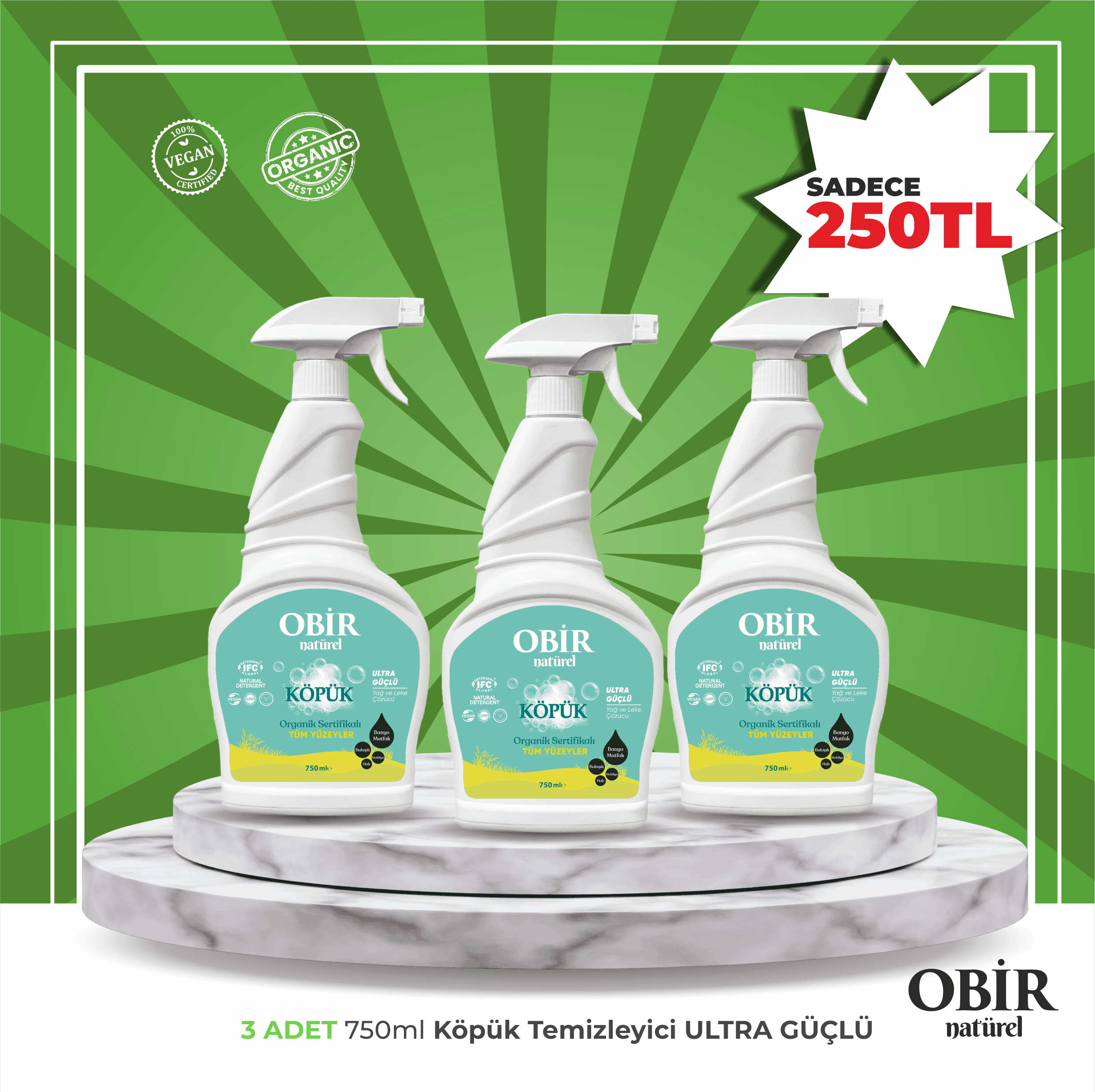 Çok Amaçlı Köpük Temizleyici 3 X 750 ML 