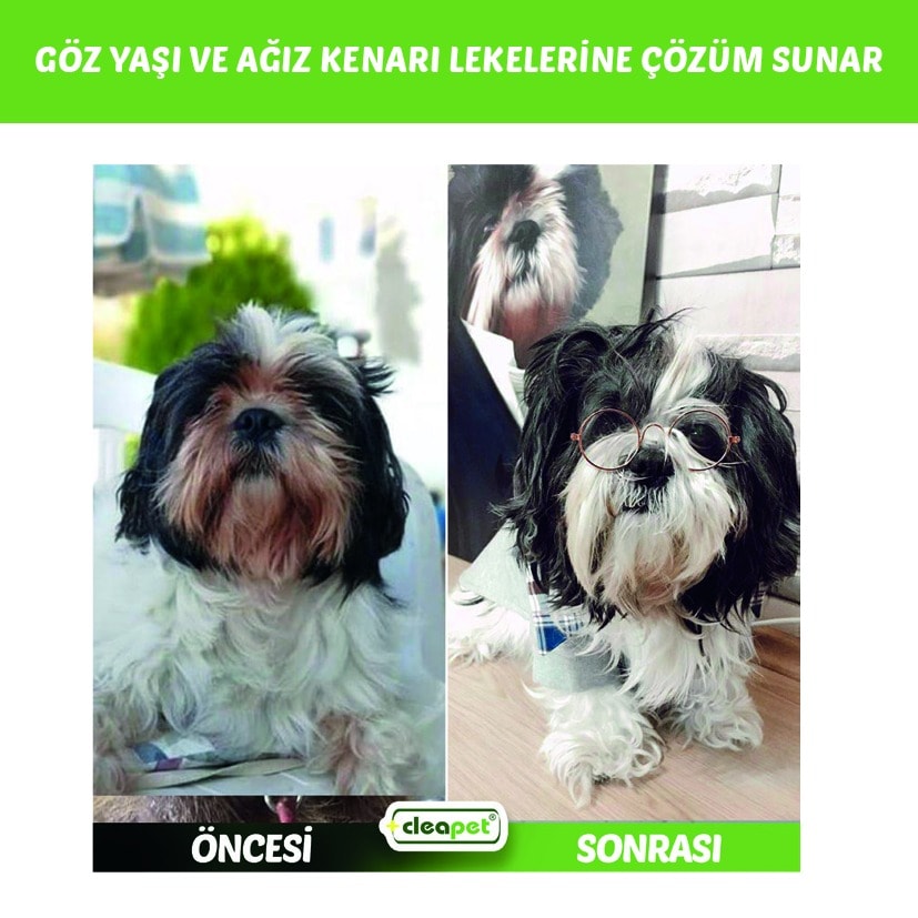 GÖZ HİJYEN SPREY 250ML