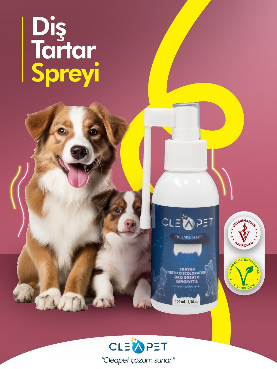 DİŞ TARTAR SPREYİ