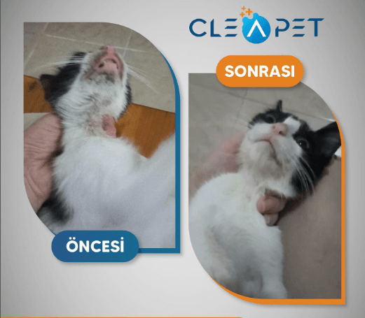 MANTAR TEDAVİ SPREYİ