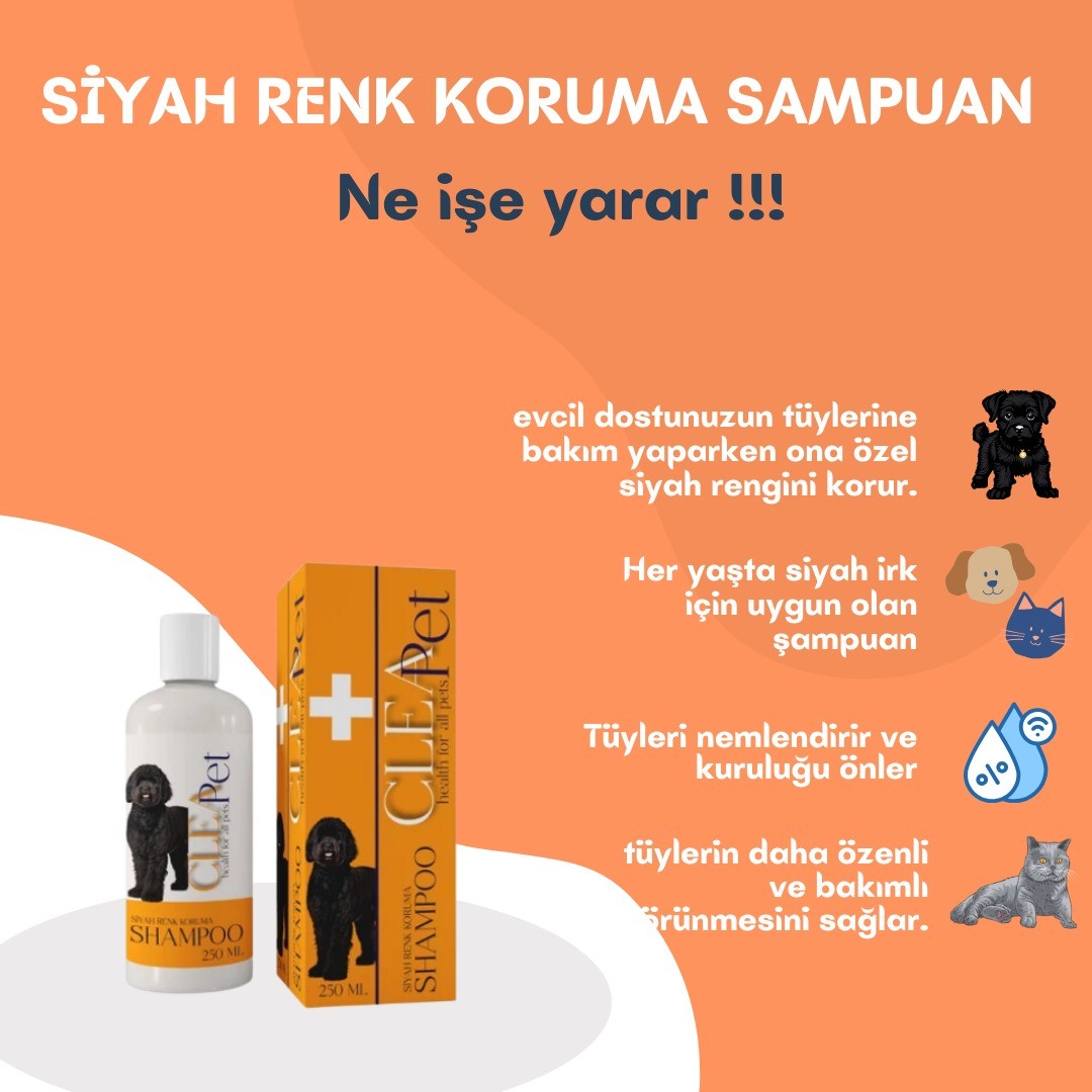 SİYAH RENK KORUMA SAMPUAN 250 ML