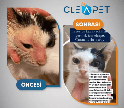 MANTAR TEDAVİ SPREYİ