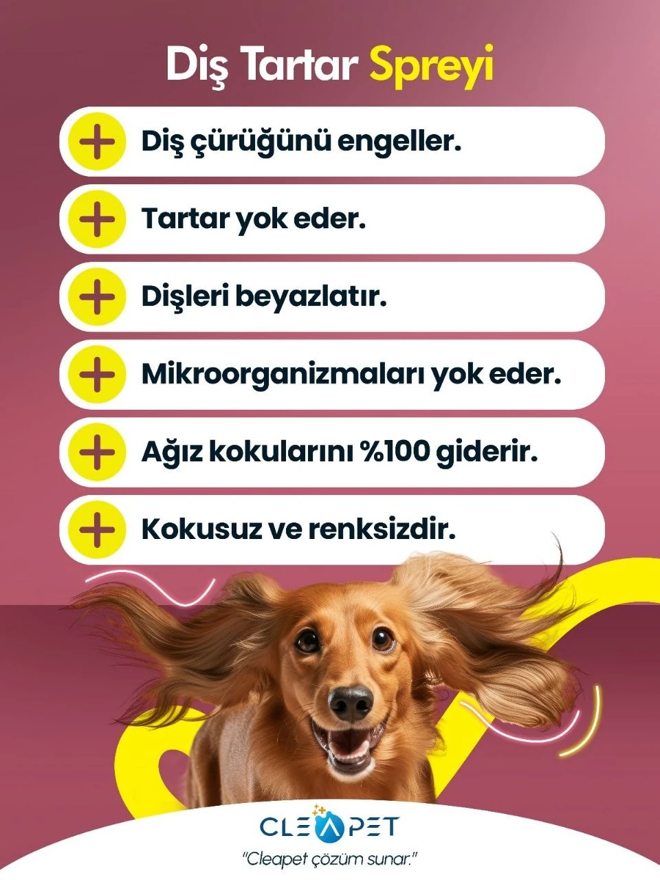 DİŞ TARTAR SPREYİ