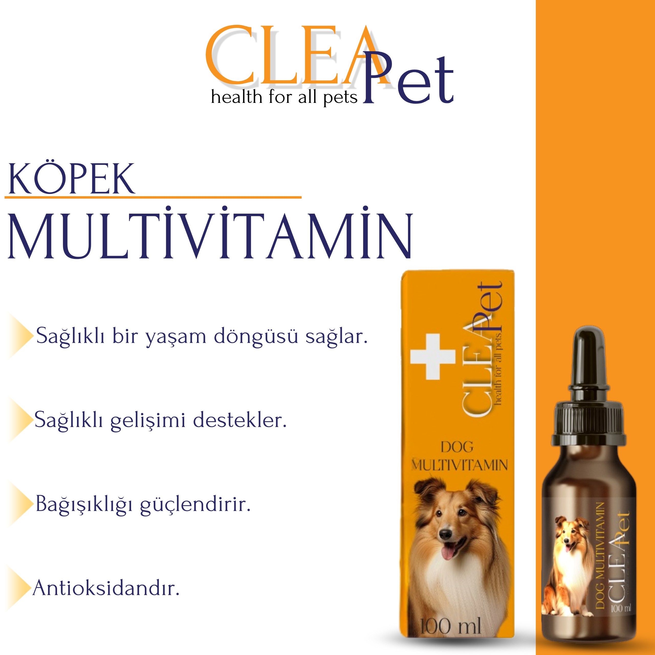 Köpek kepek çözüm paketi 