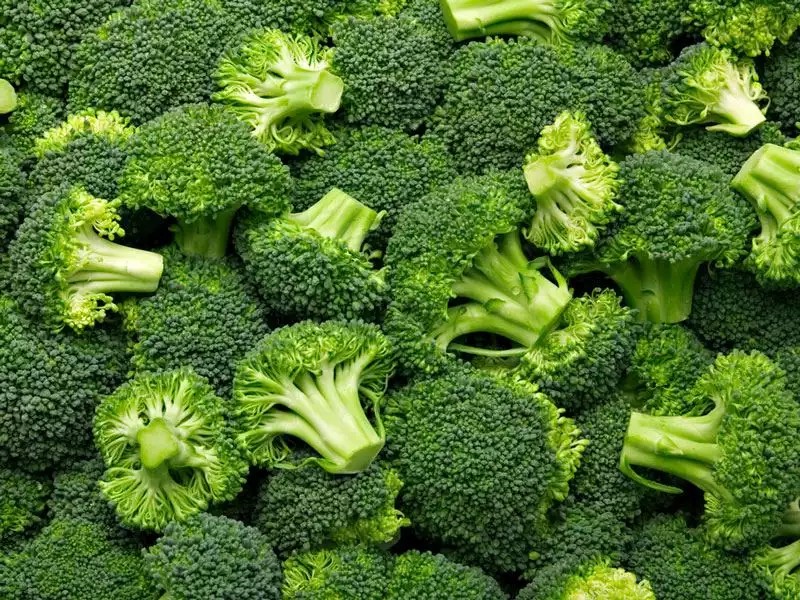 Broccoli (Brassica Oleracea)