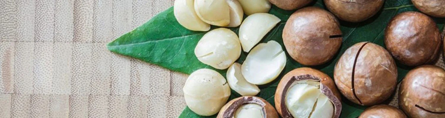 Makademya Ceviz Yağı (Macadamia Nut Oil)