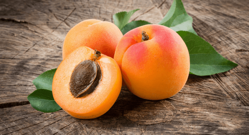 Apricot Kernel Oil (Kayısı Çekirdeği Yağı)