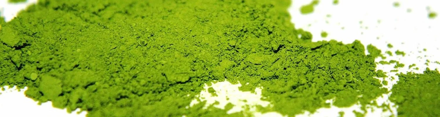 Matcha (Green Tea - Yeşil çay) Ekstresi