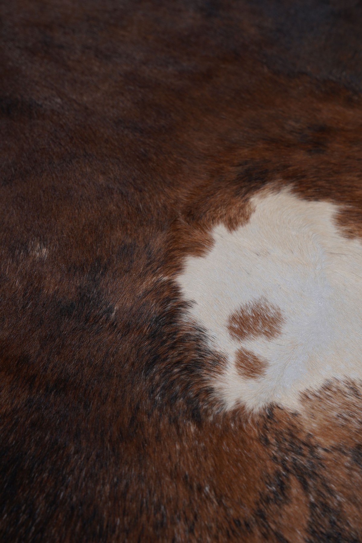 Buffalo Tgr Orjınal Kahverengi Naturel Deri Halı