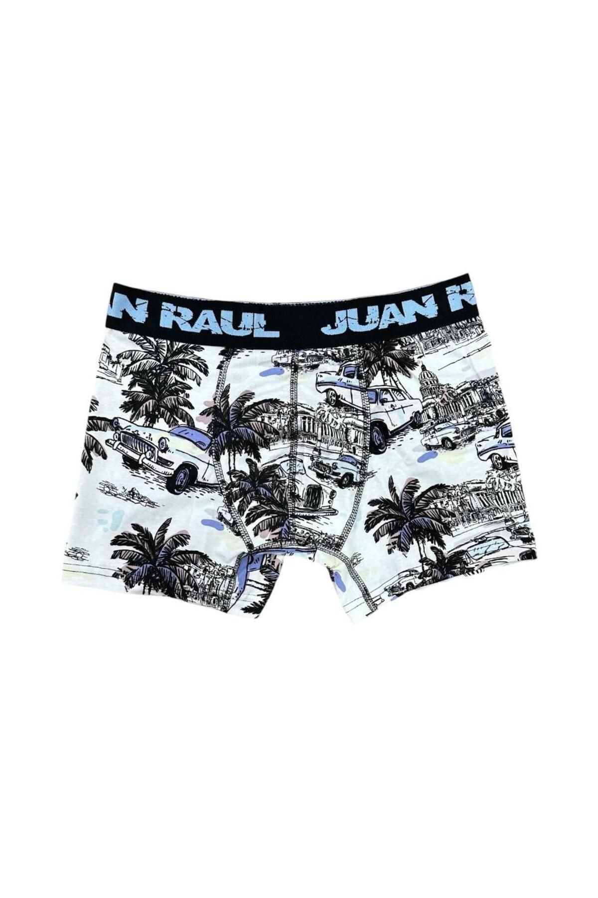 Hawaii Desenli Erkek Boxer - Db177