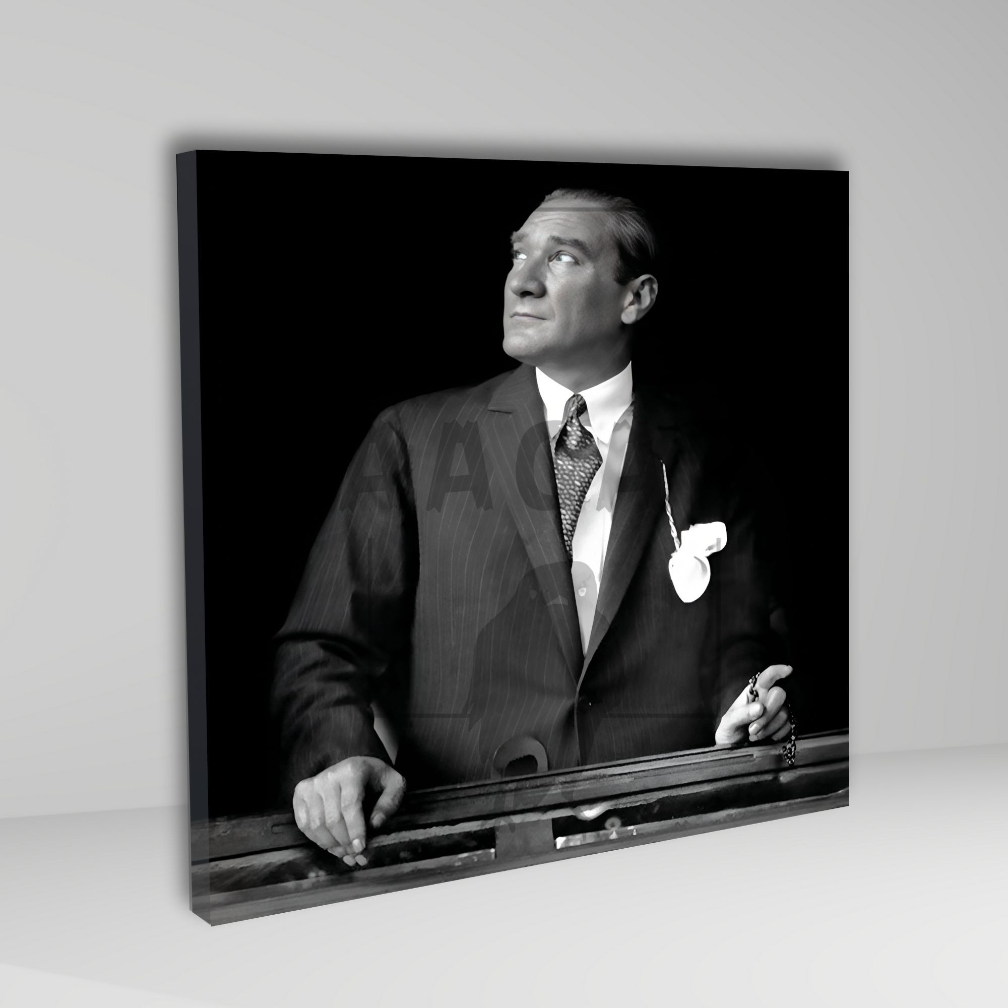 Tekli Kare Kanvas Duvar Tablosu Yukarı Bakan Atatürk