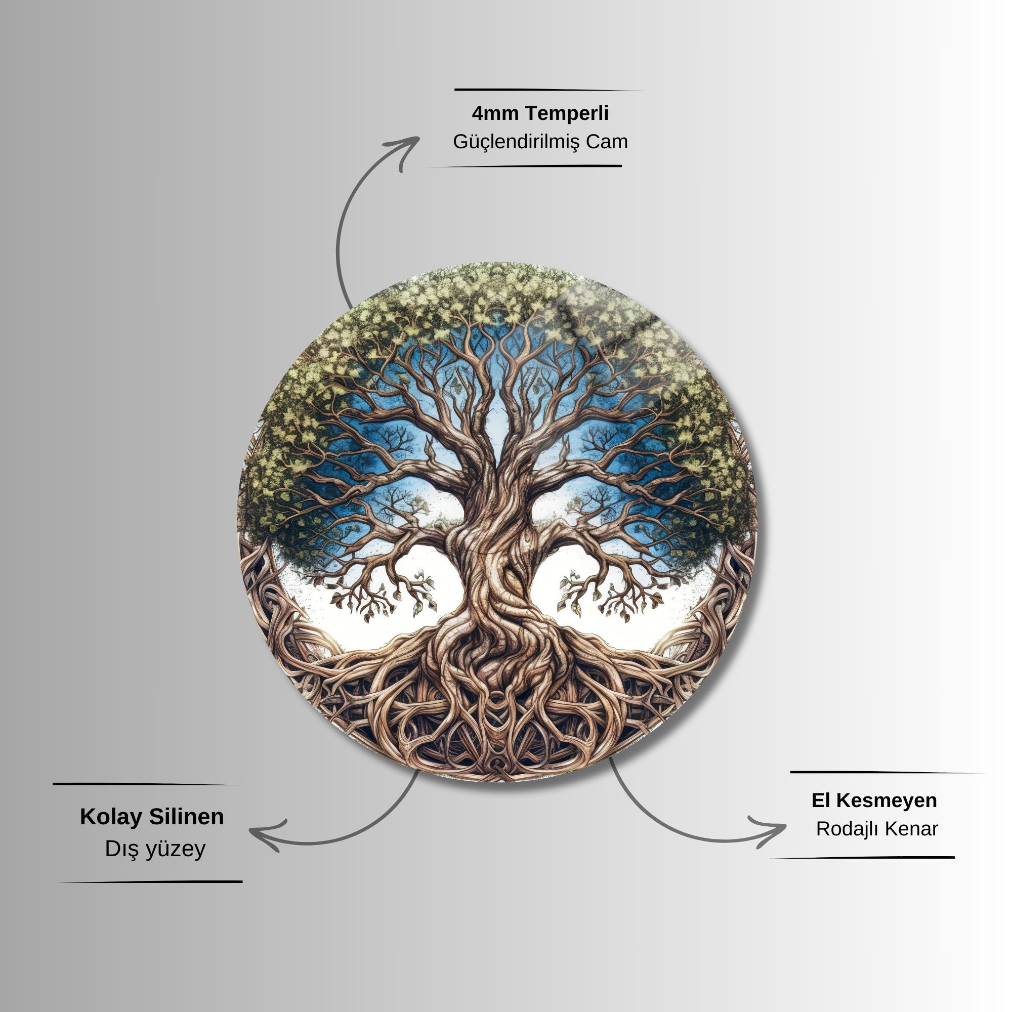 Yuvarlak Temperli Gerçek Cam Tablo Çınar Ağacı ve Kökleri