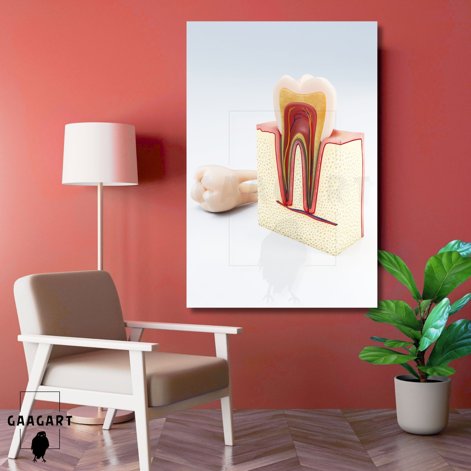 Tekli Dikey Kanvas Diş Poliklinik Tablosu Diş Anatomisi