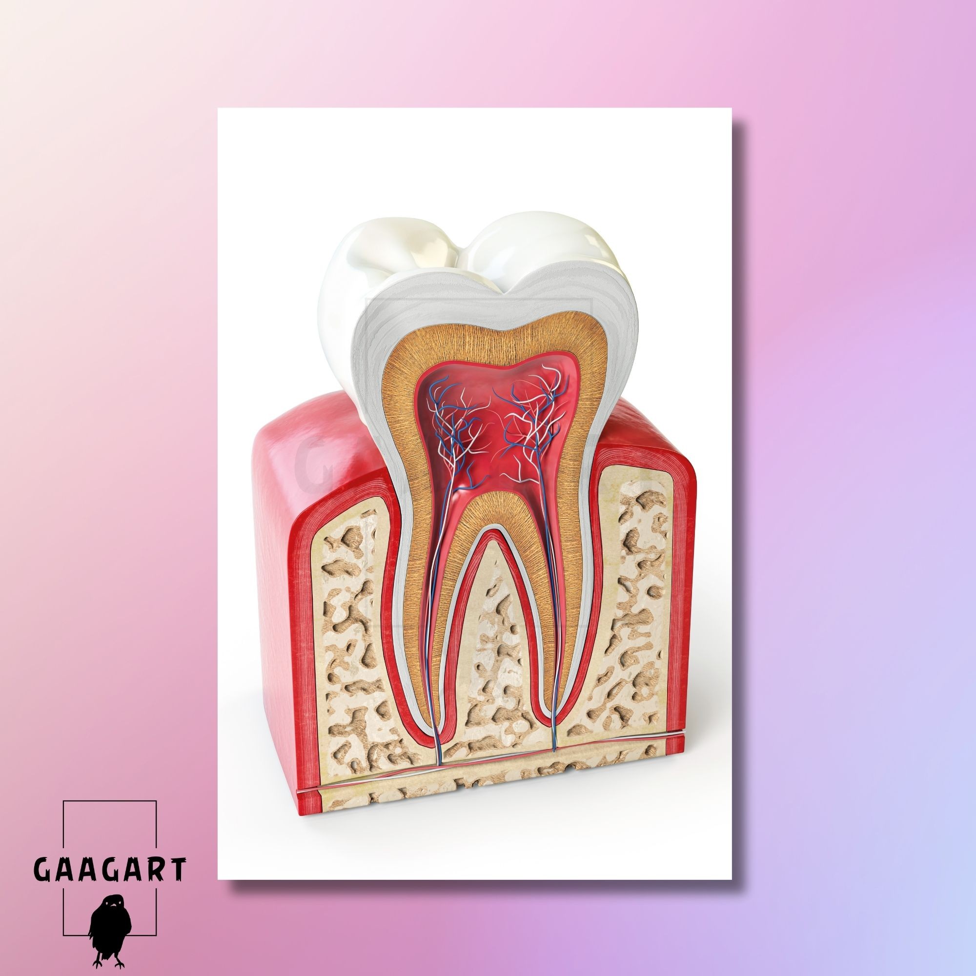 Tekli Dikey Kanvas Diş Poliklinik Tablosu 3D Görünümlü Diş