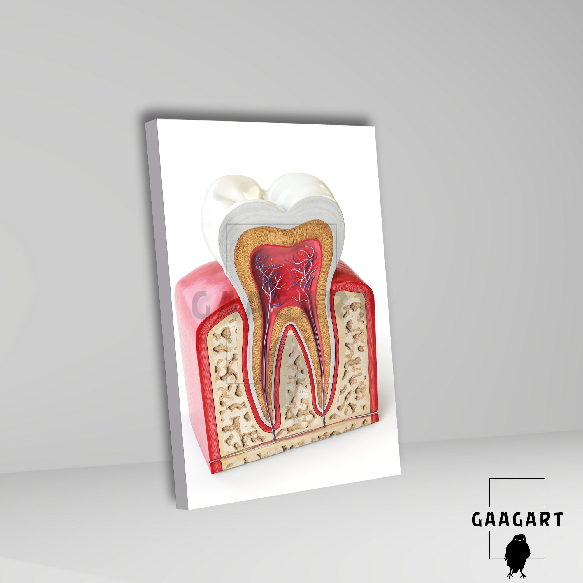 Tekli Dikey Kanvas Diş Poliklinik Tablosu 3D Görünümlü Diş