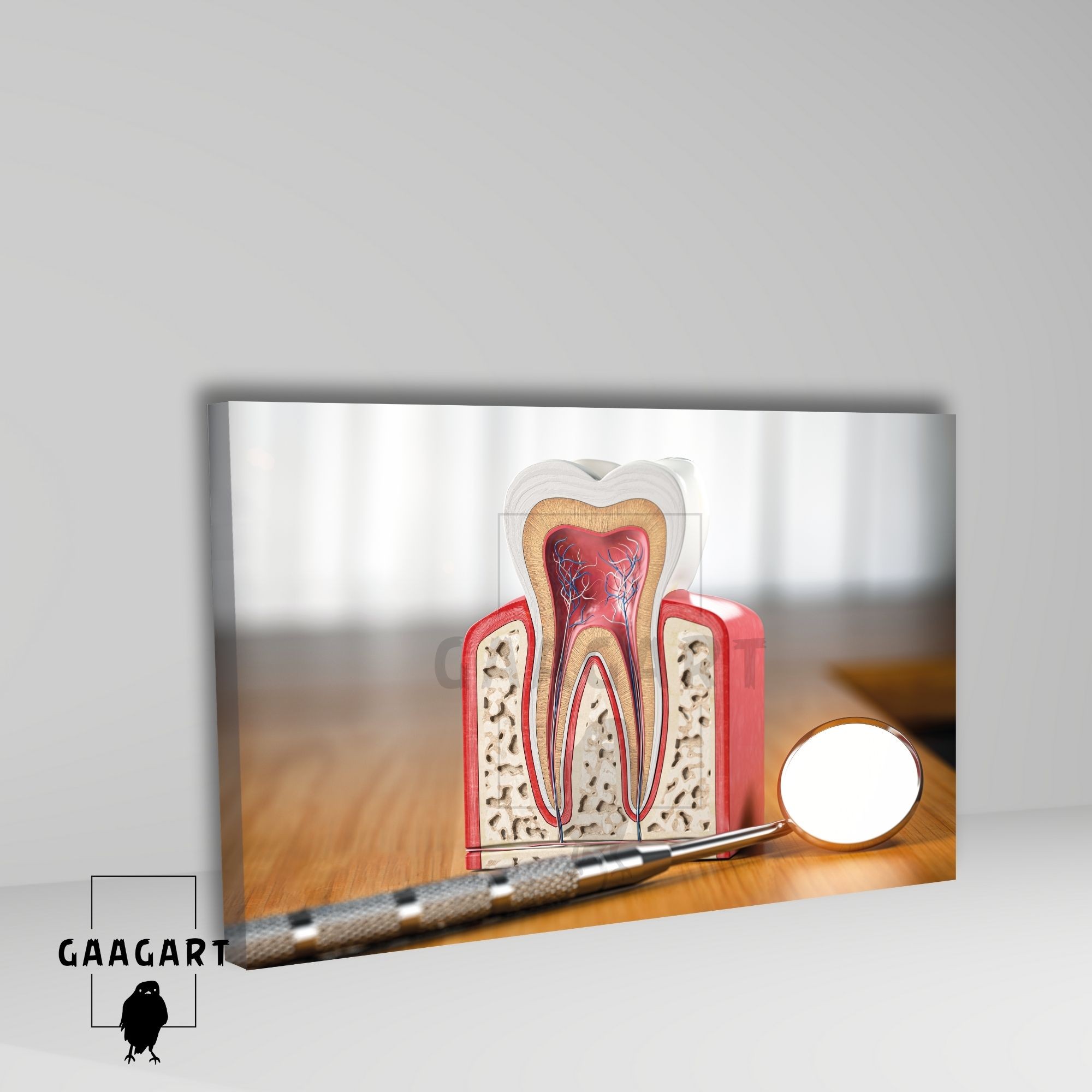 Tekli Yatay Kanvas Diş Poliklinik Tablosu Diş Anatomisi