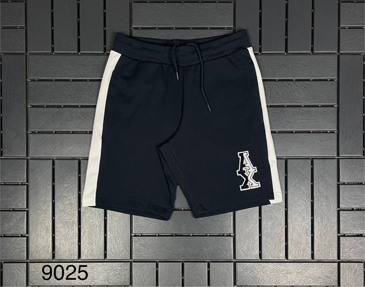 ARMANI EXCHANGE Lacivert Erkek Şort 9025