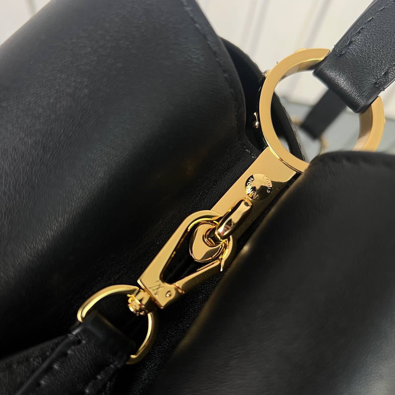Louis Vuitton Capucines Souple GM