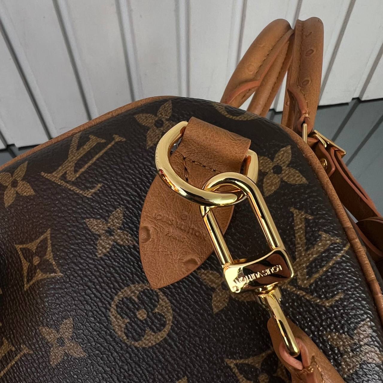 Louis Vuitton Çanta