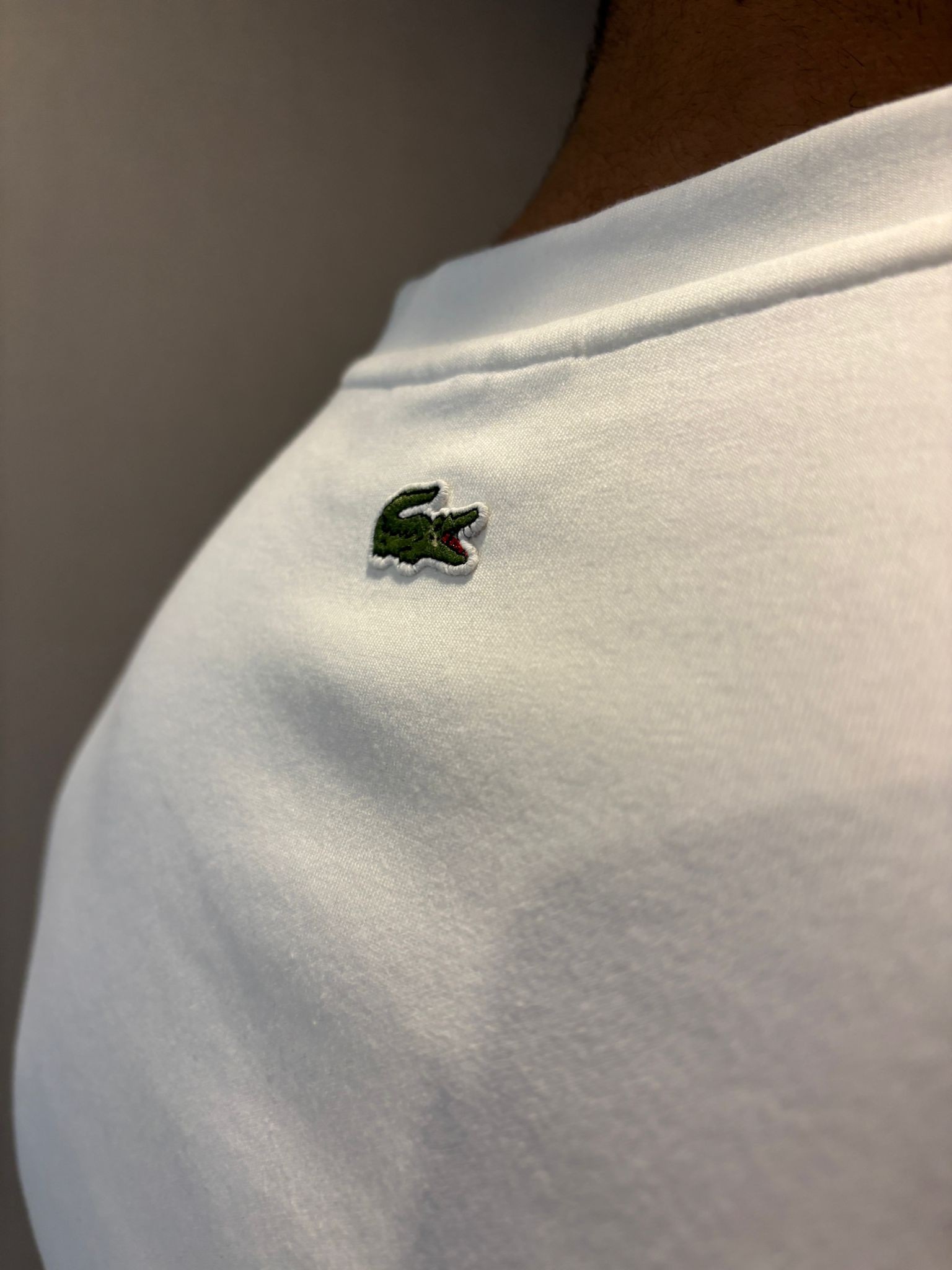 Lacoste Baskı Detaylı Pamuk Erkek Sweatshirt