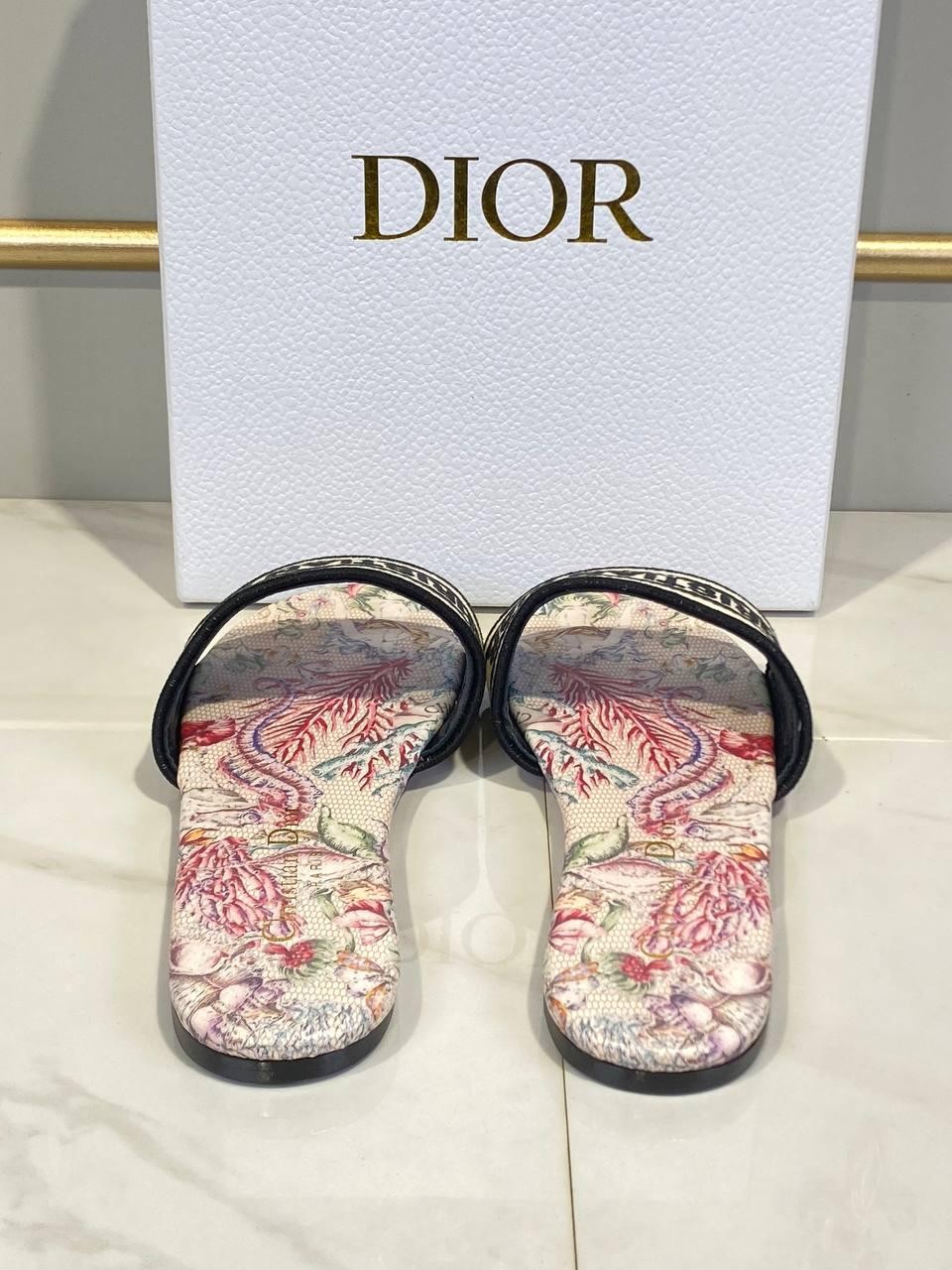 Christian Dior Dway Slides