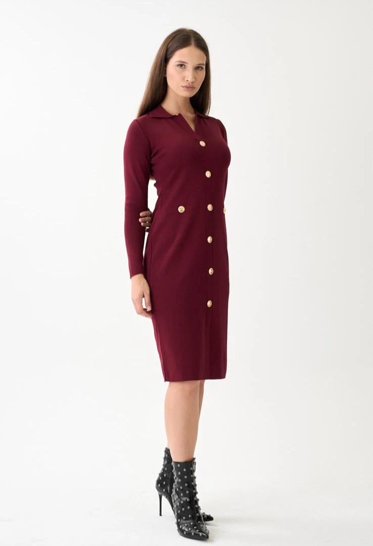 Berhani Düğme Detay Bordo Kadın Elbise 130B