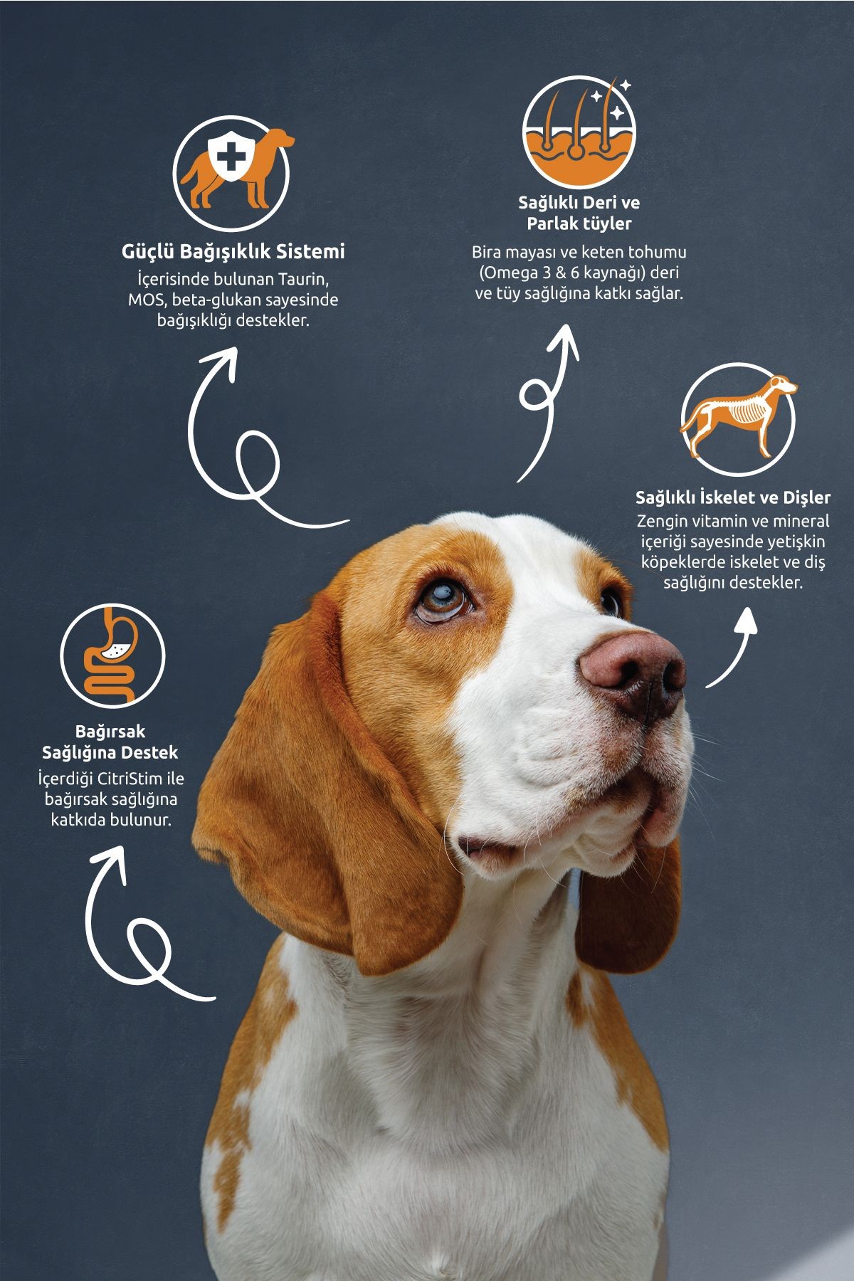 REFLEX KUZU ETLİ VE PİRİNÇLİ YETİŞKİN KÖPEK MAMASI 15 KG