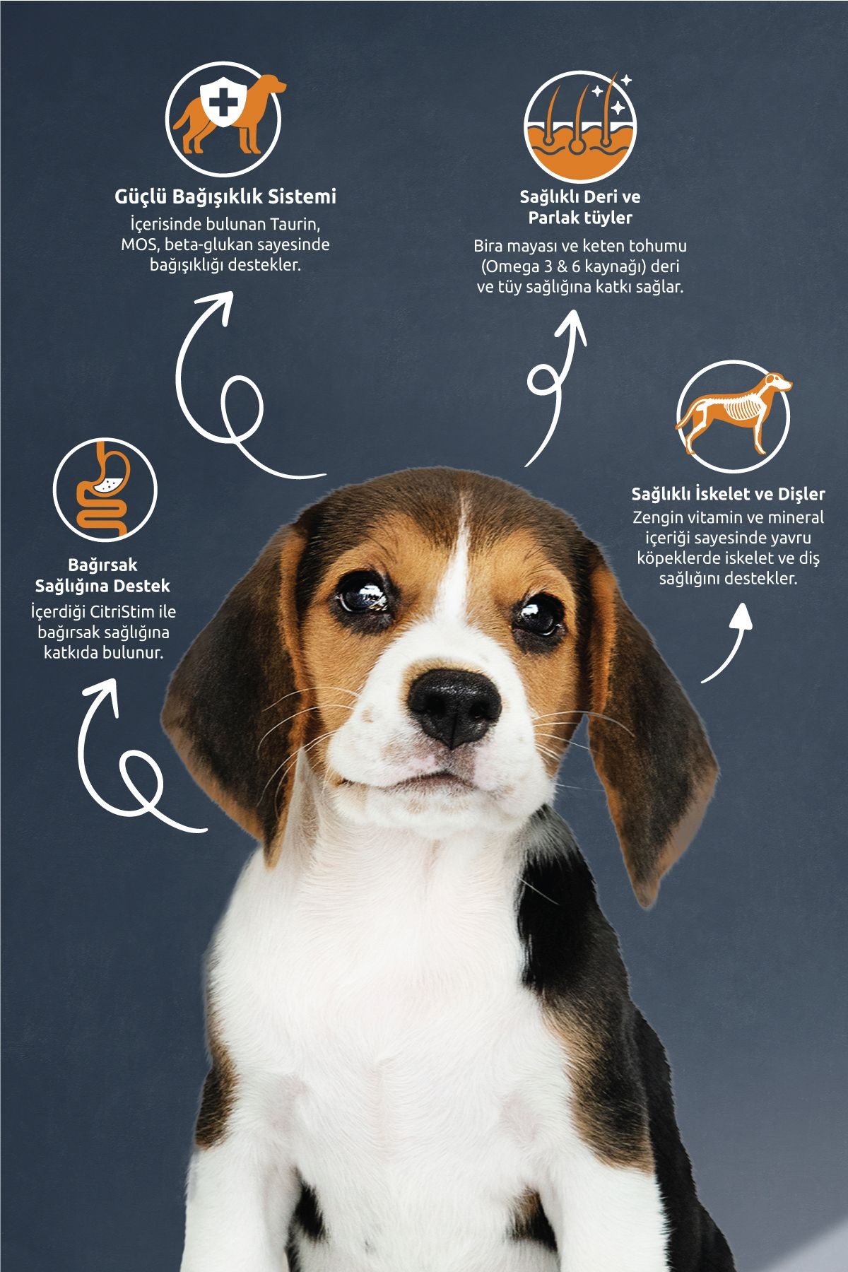 REFLEX PUPPY KUZU ETLİ VE PİRİNÇLİ KÖPEK MAMASI 15 KG