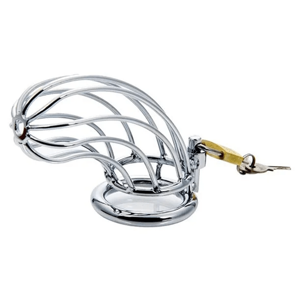 ManSecure Stainless Steel Chastity Cage