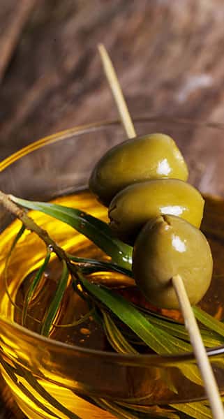 zeytin zeytinyagi