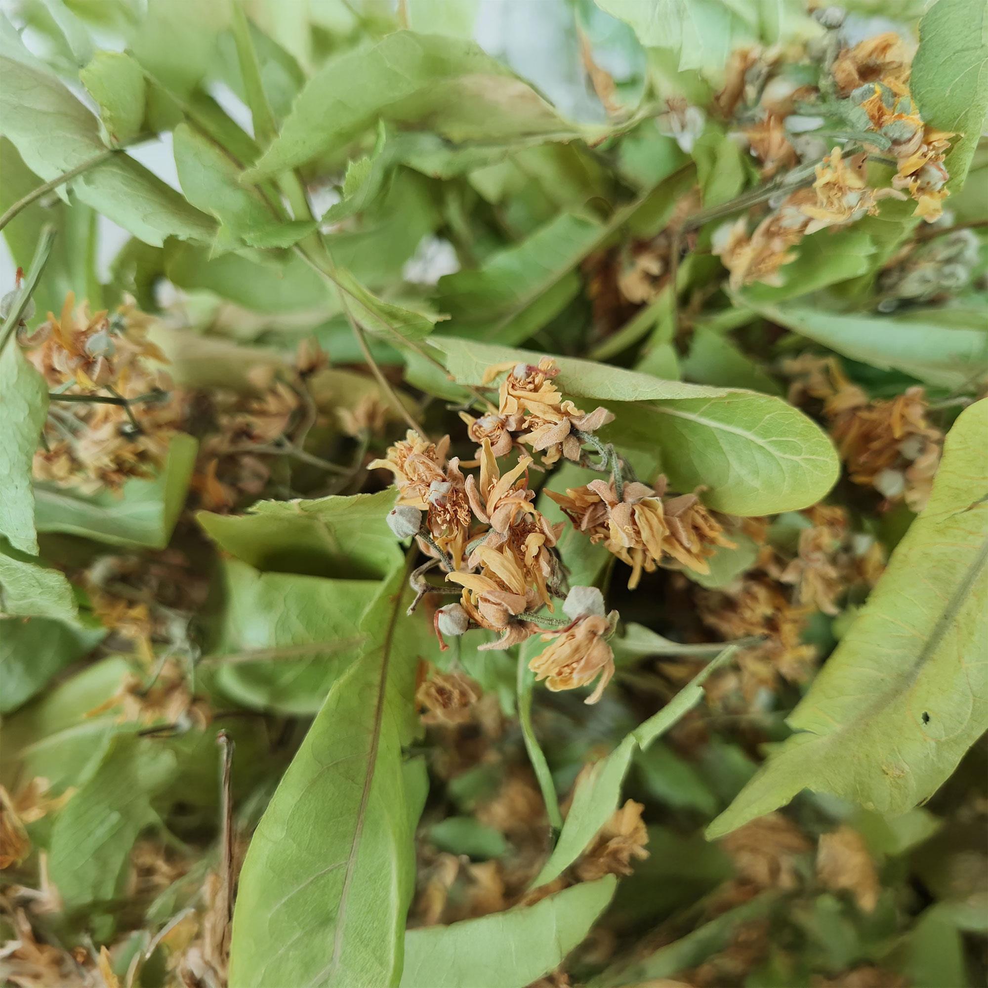 Ihlamur - 35 gr x 6 - Yemen Kuru Kahvecisi