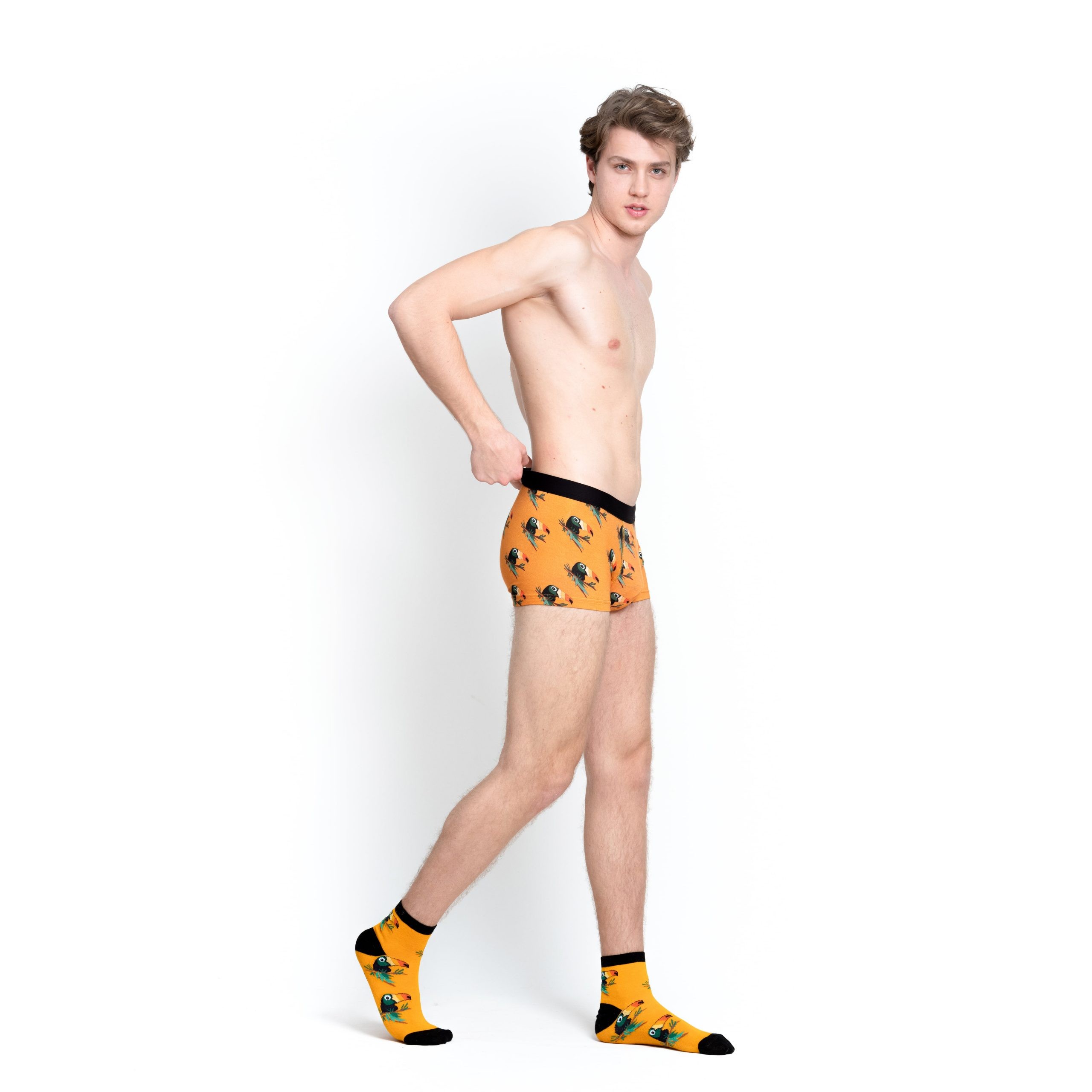 Toco Toucan Boxer