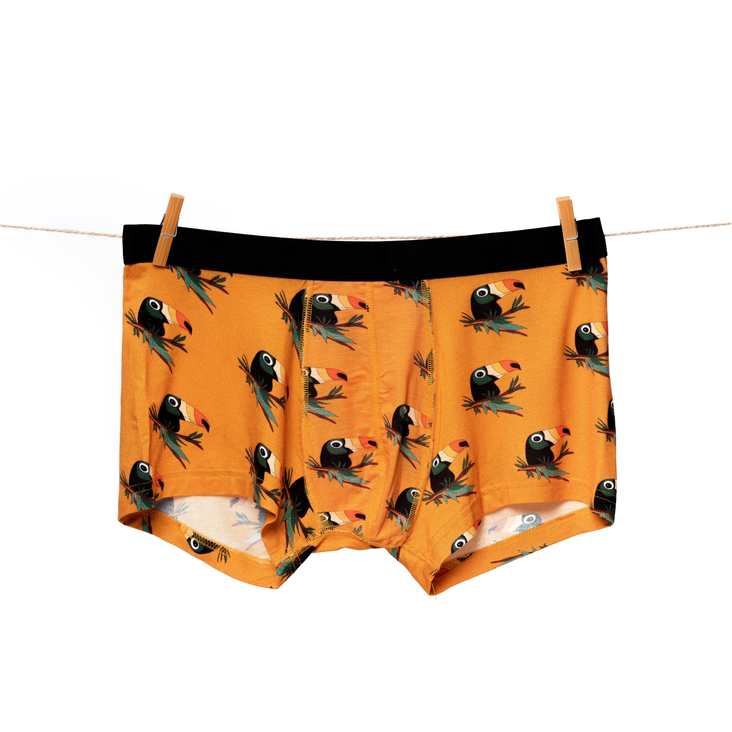 Toco Toucan Boxer