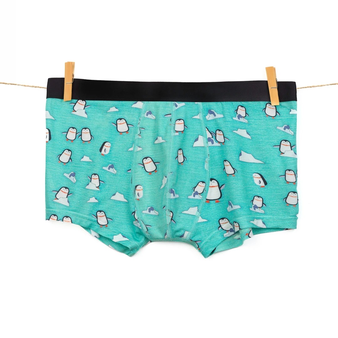 Animal Buddies Boxer Pack 🐼🦖🐧