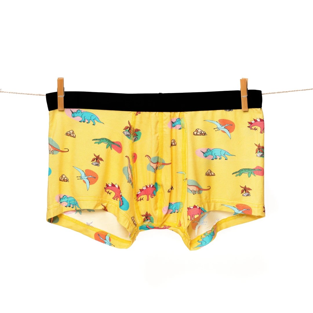 Animal Buddies Boxer Pack 🐼🦖🐧