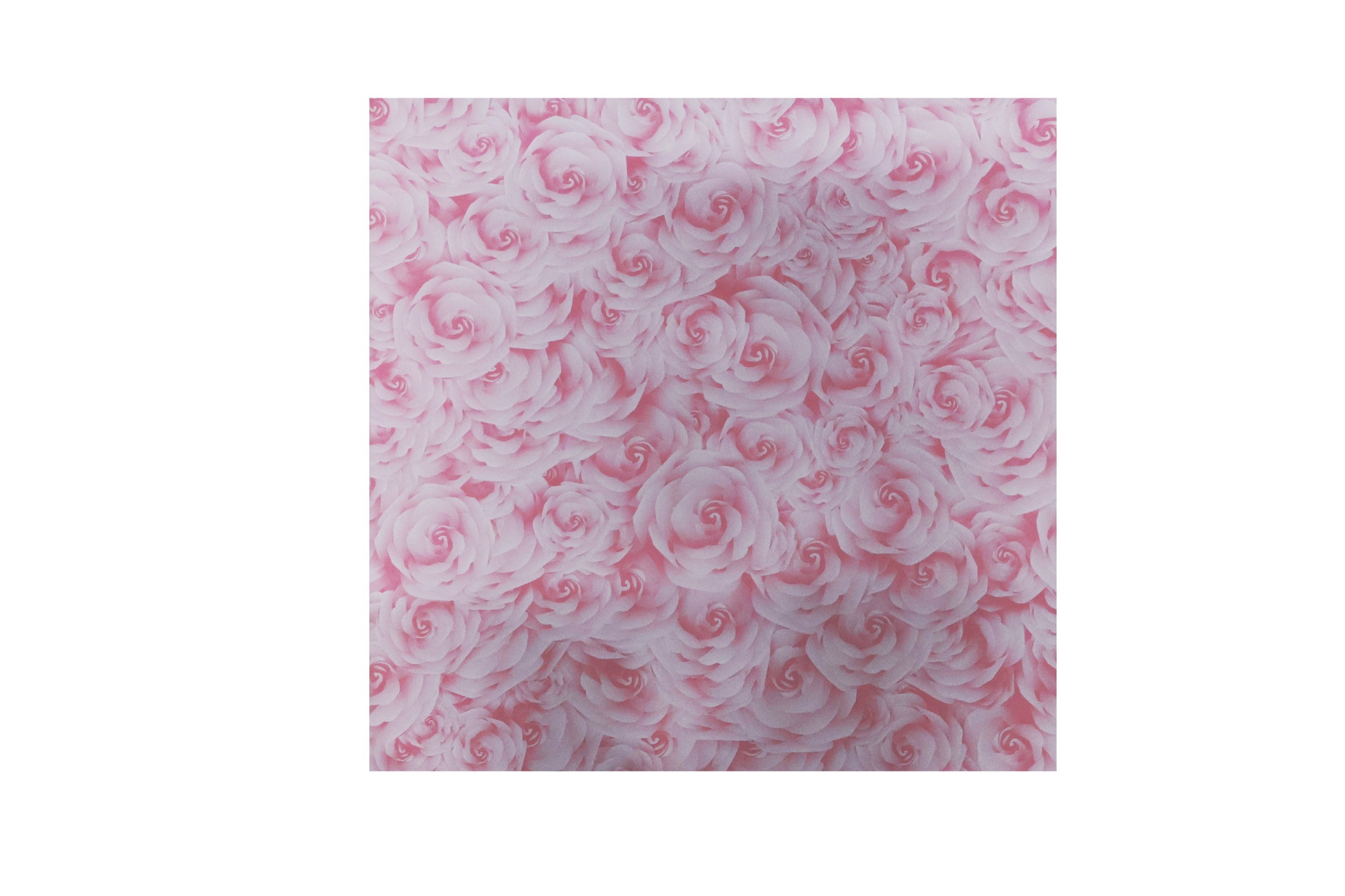 Pembe Gül Tasarımlı Çiçek Buket Kağıdı-Sedef-55x55cm-20 Sayfa