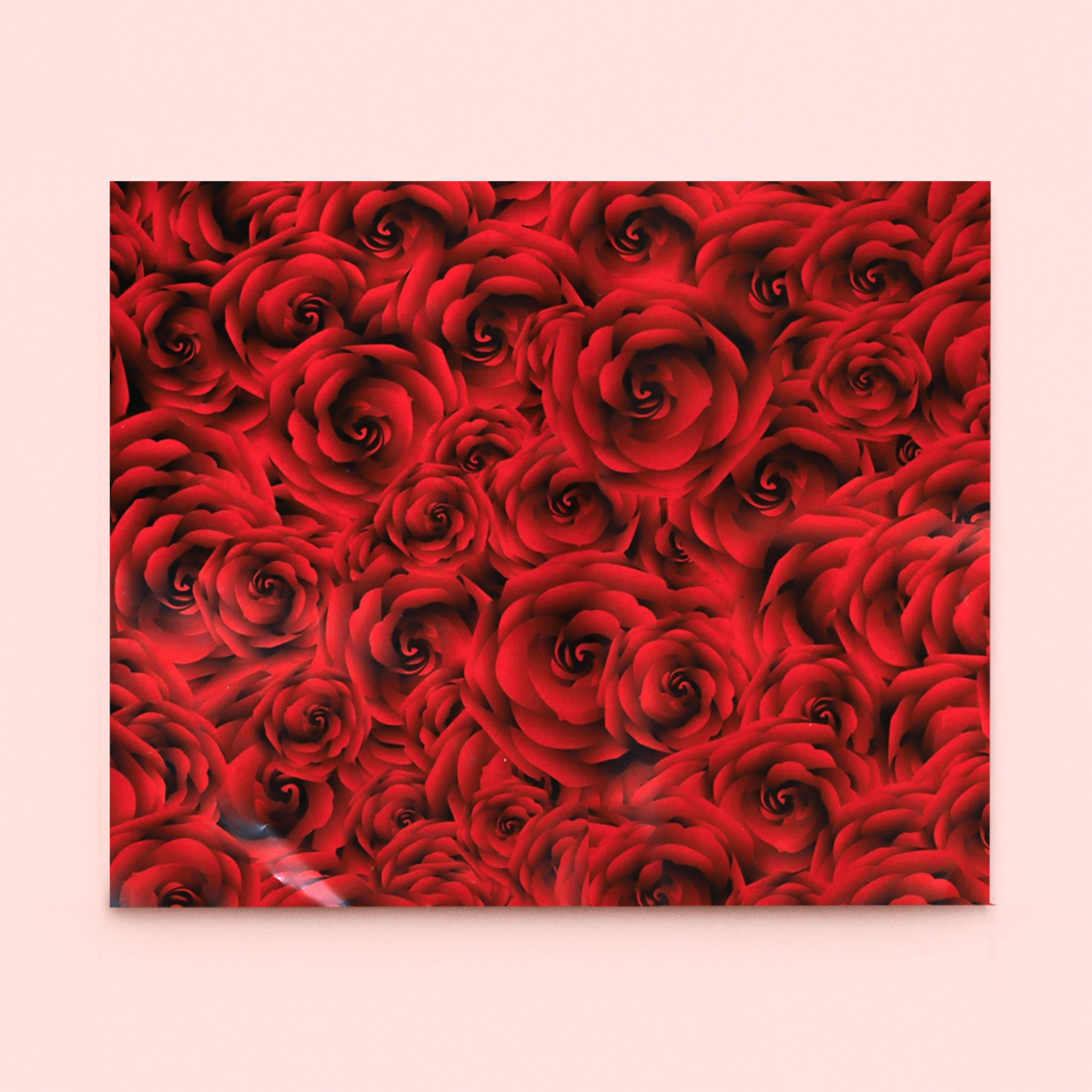 Kırmızı Gül Tasarımlı Hediye Paketleme Mazemesi-50x70cm-50Sayfa