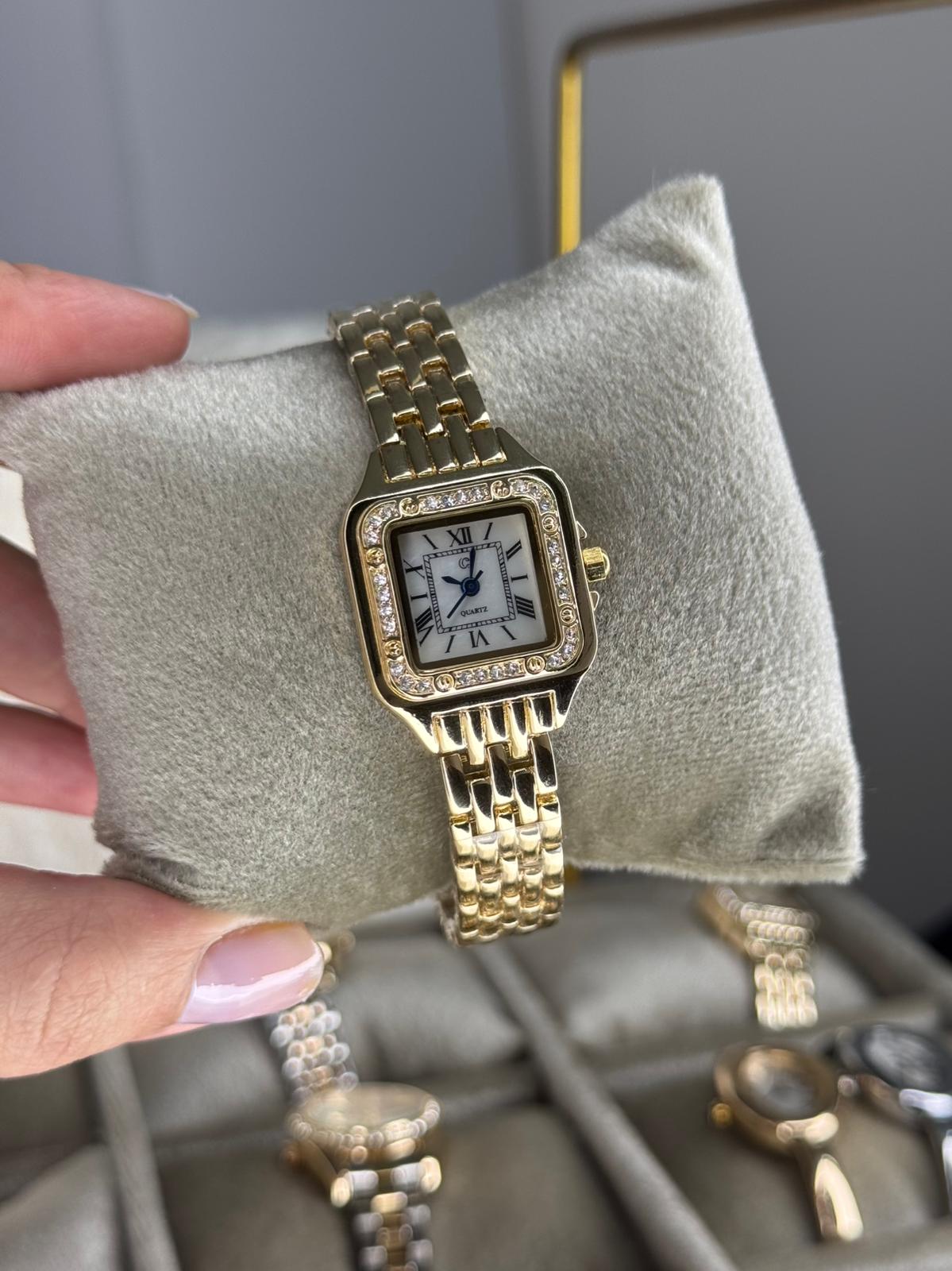 Classic Rosi Watch Rectangular Stainless Steel Womens Watch