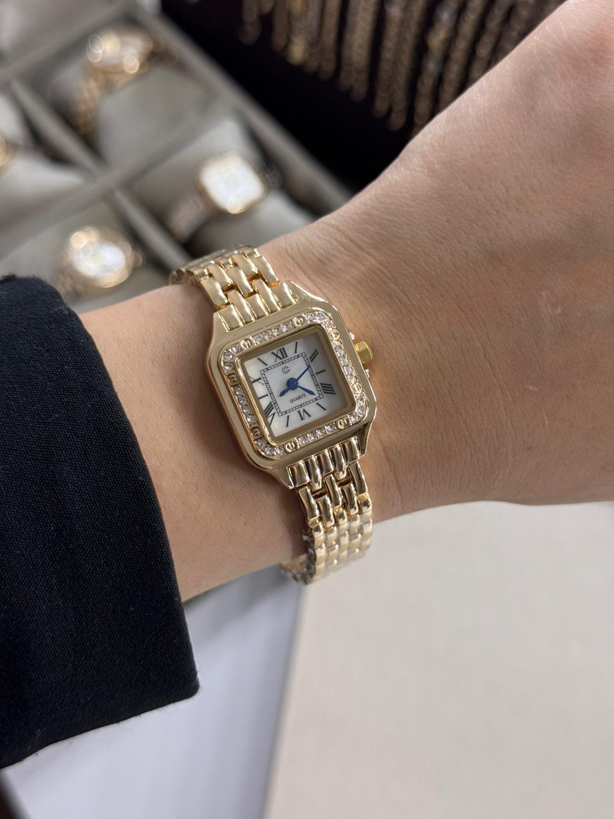 Classic Rosi Watch Rectangular Stainless Steel Womens Watch