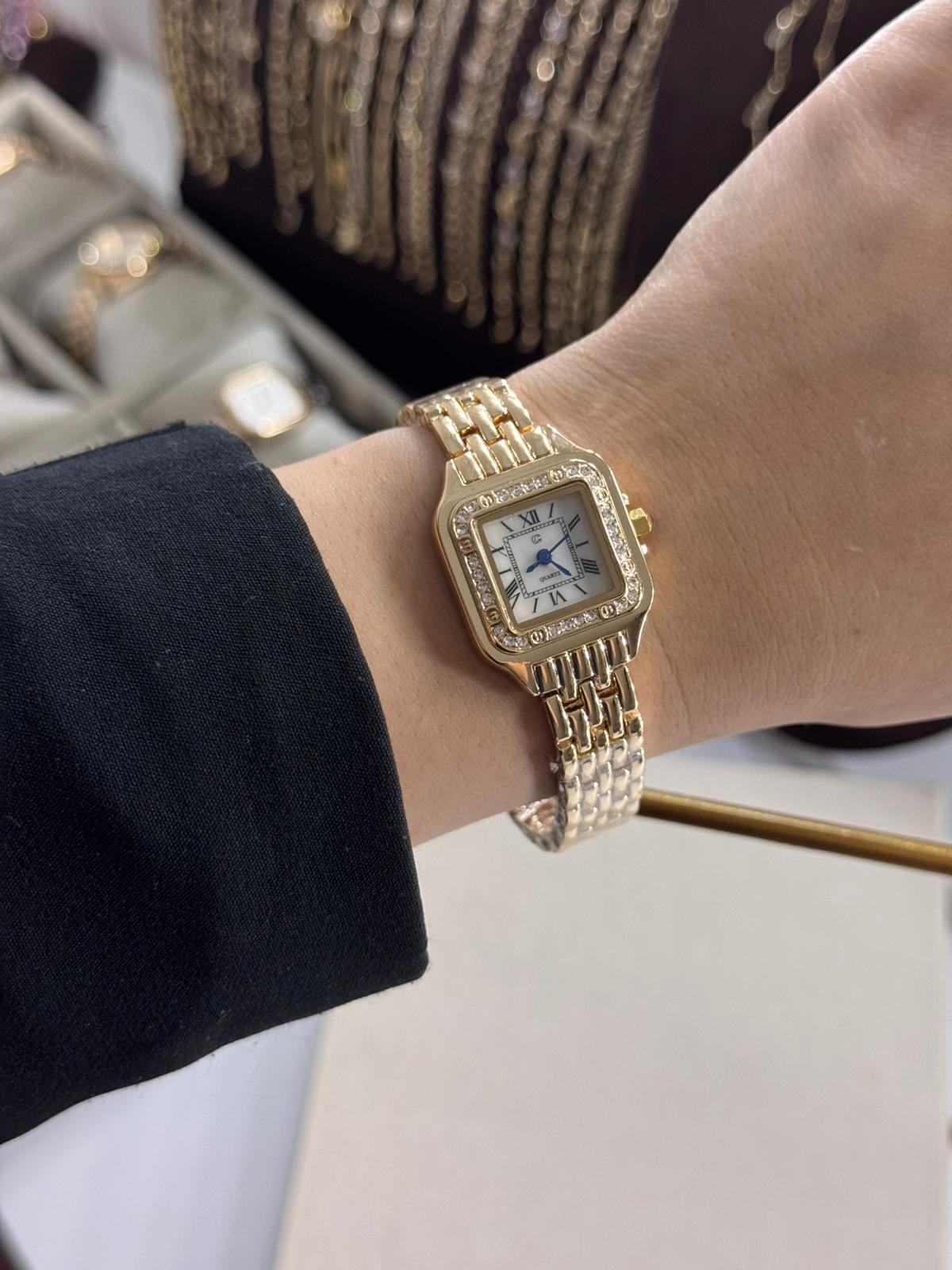 Classic Rosi Watch Rectangular Stainless Steel Womens Watch