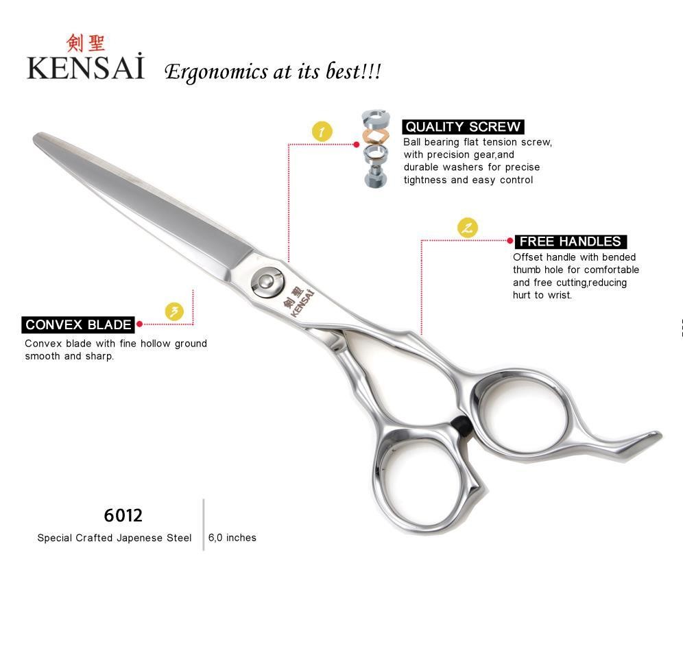 KENSAİ 6012