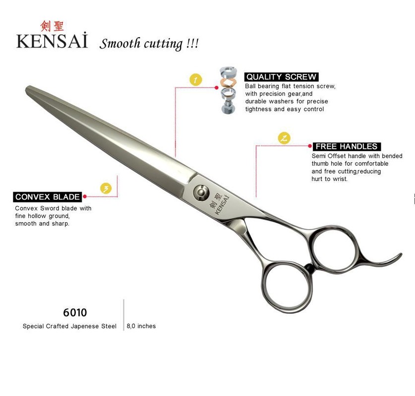KENSAİ 6010
