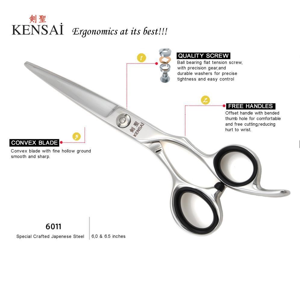 KENSAİ 6011 6/6.5