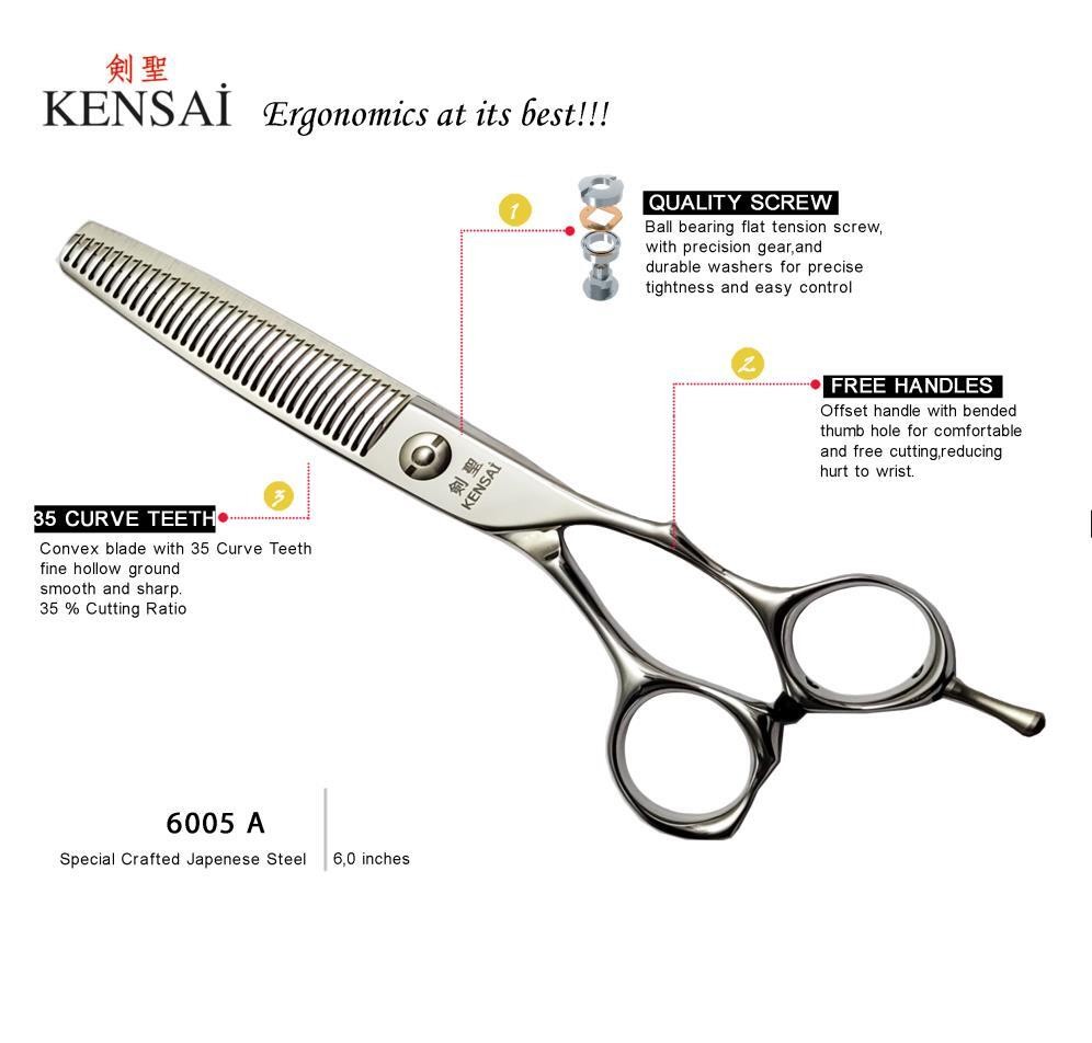 KENSAİ 6005A