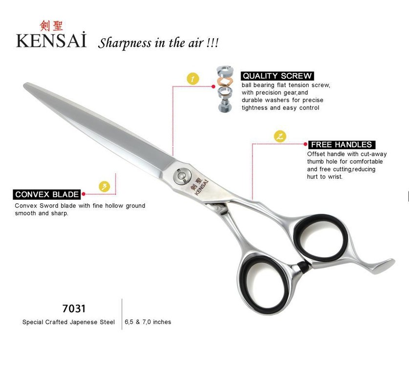 KENSAİ 7031