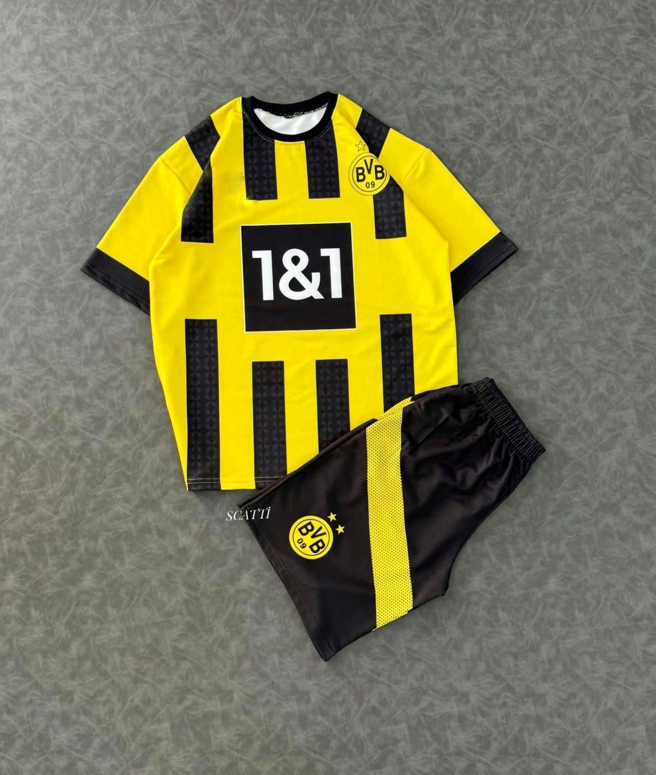 BVB TAKIM