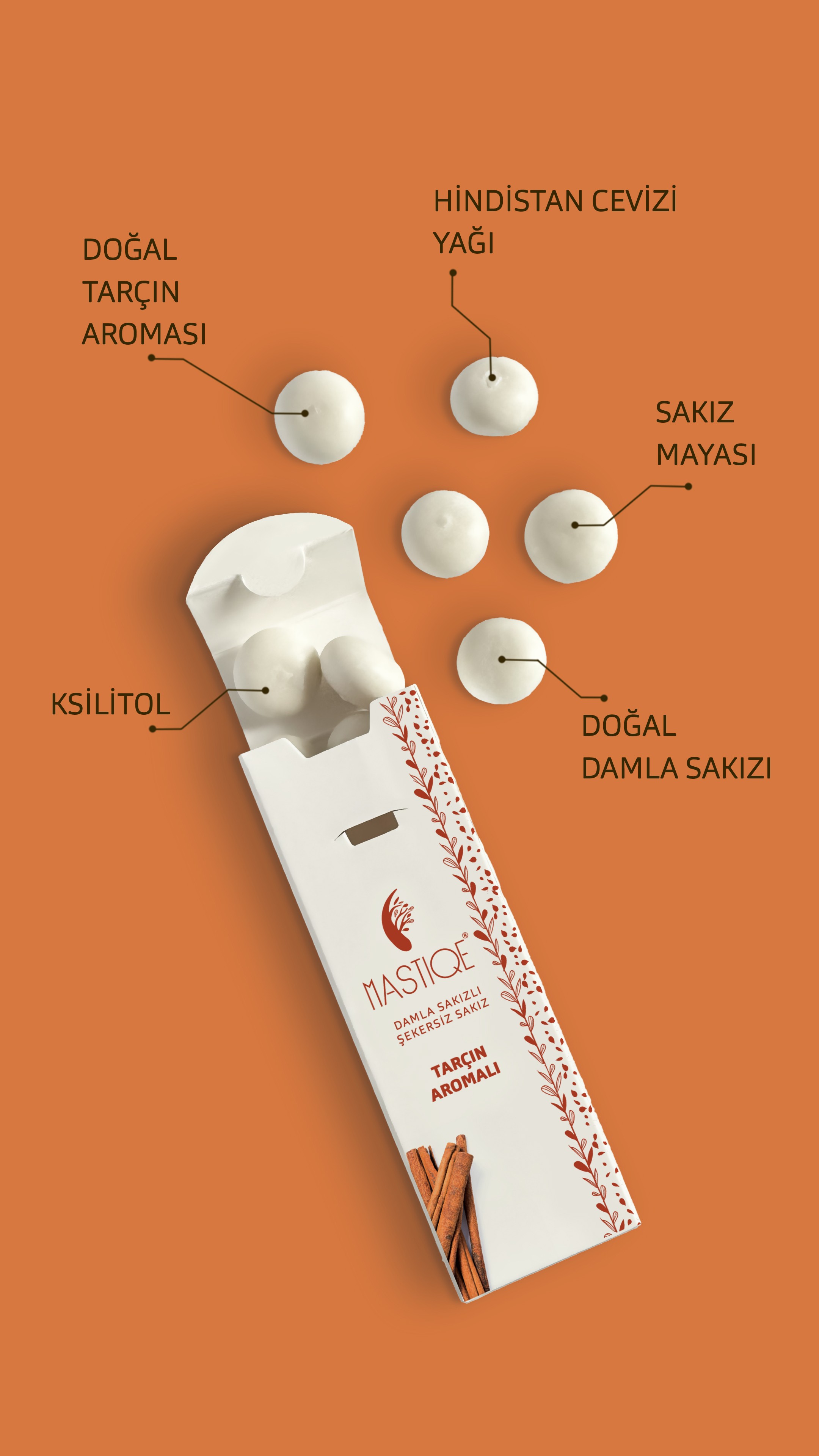 Doğal Tarçın Aromalı Damla Sakızlı Şekersiz Sakız 20 Grx12 Adet 0 image