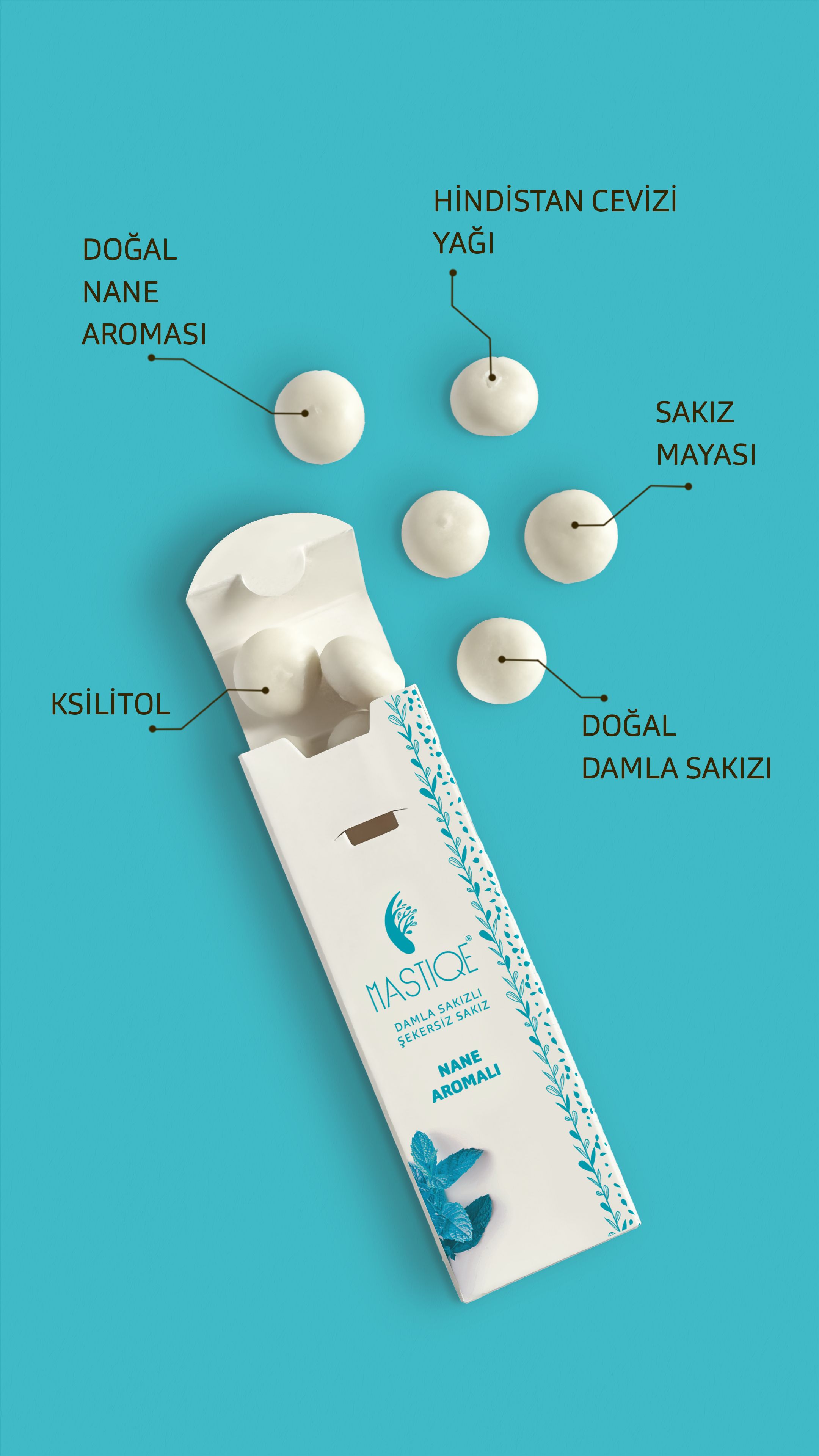 Doğal Nane Aromalı Damla Sakızlı Şekersiz Sakız 20 Grx12 Adet 0 image